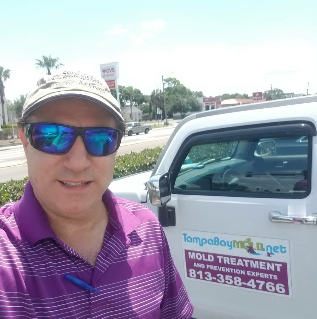 Wesley Chapel Mold Remediation Experts